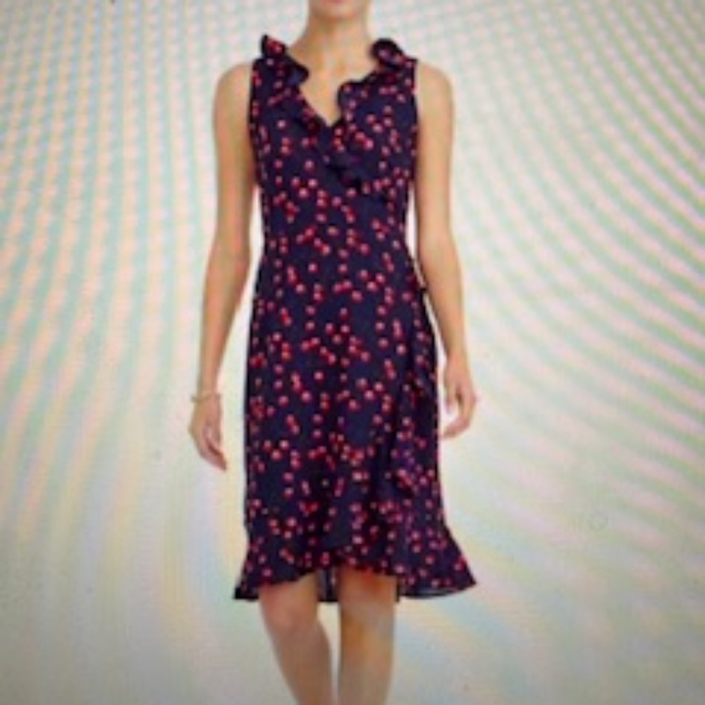NEW WITH TAGS! Adorable J. Crew Factory Dress with Cherries